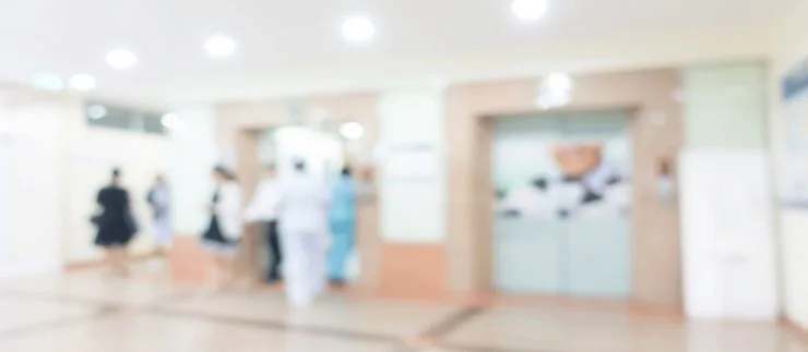 Banniere_REX_Digital_USF REX Digital USF