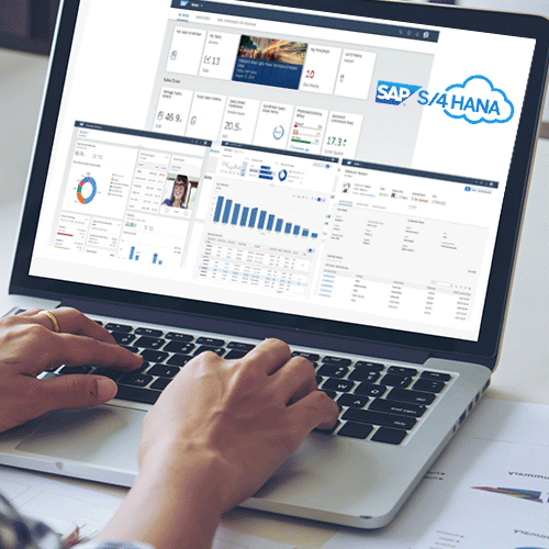 Article SAP 4HANA